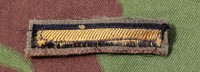 yu3076ds.jpg (49136 bytes)