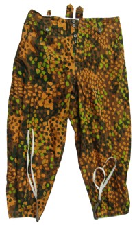 dot8ps.jpg (54973 bytes)