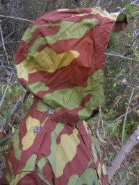 it4c-s.jpg (4218 bytes)