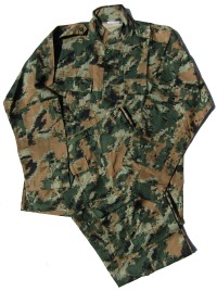 JORFORCAM2S.jpg (3515 bytes)