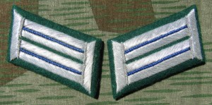 rse55s.jpg (3588 bytes)