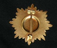 rse601gbackb1.jpg (3039 bytes)