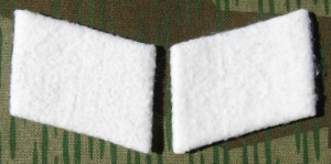 rse80s.jpg (3477 bytes)