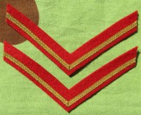 ssr1s.jpg (51614 bytes)