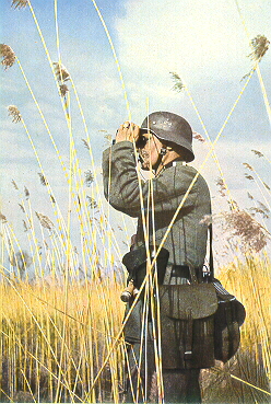 4german.jpg (155122 bytes)